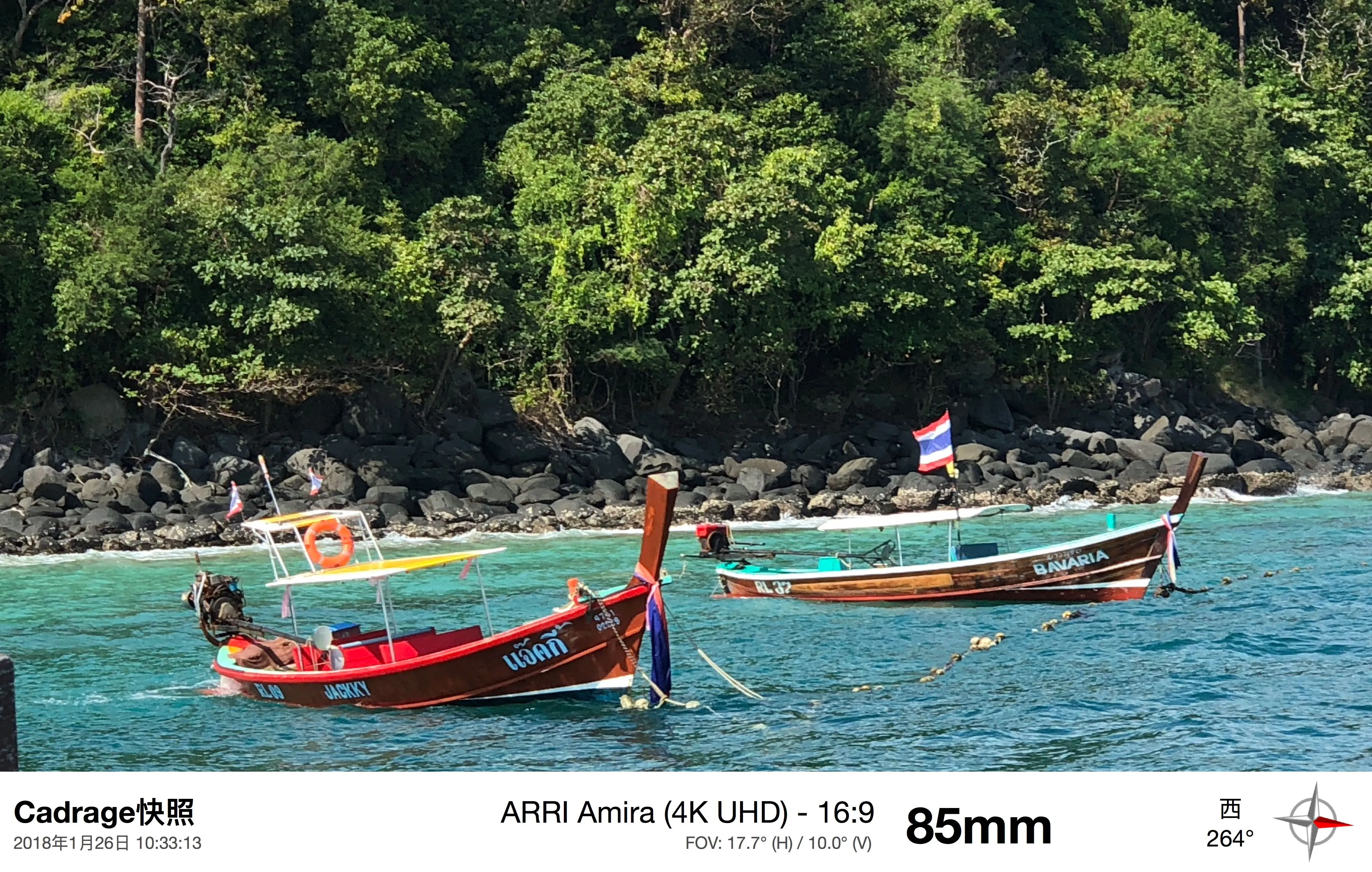 绿影作岸，红舟听潮