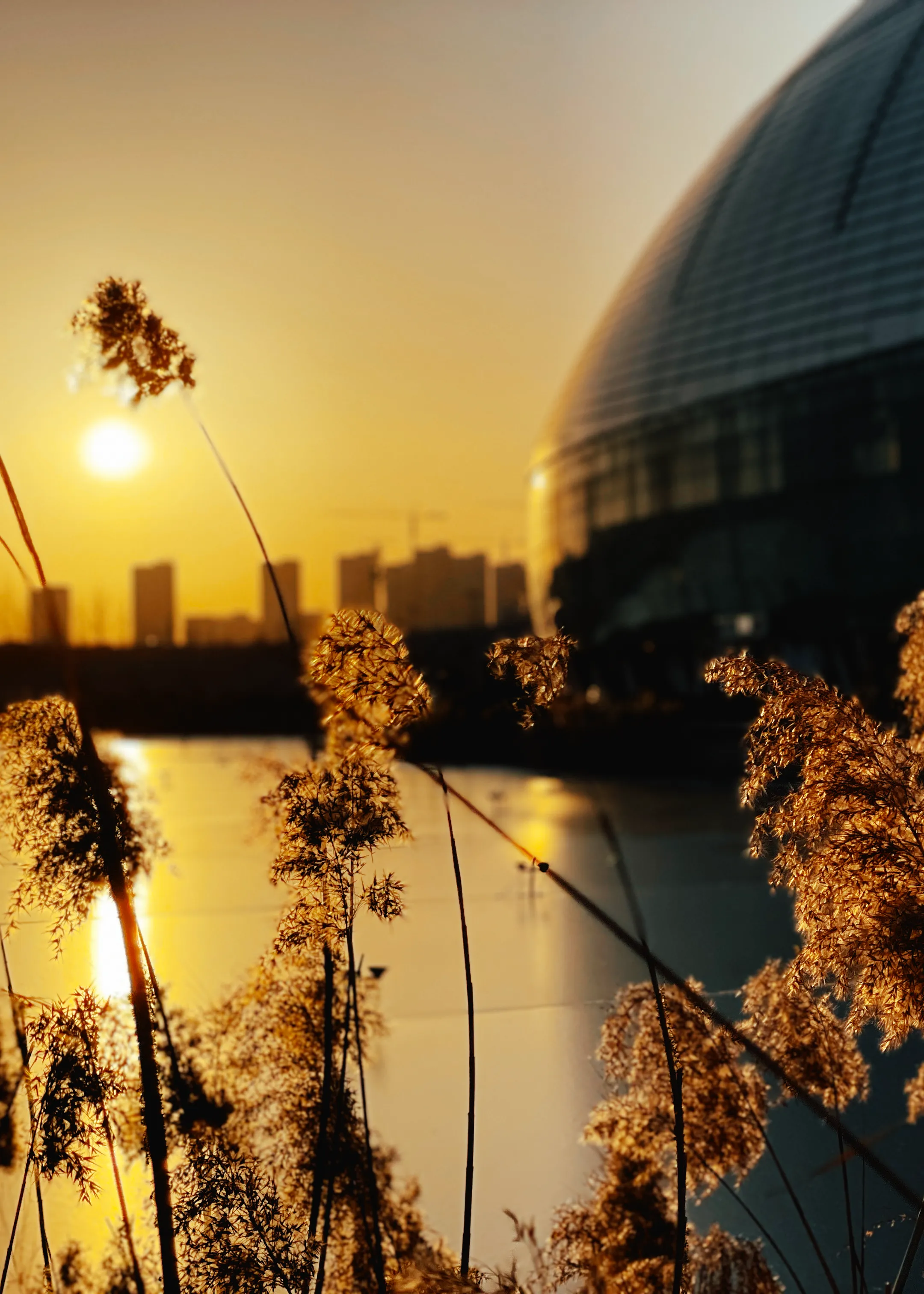 2023 年最后一天